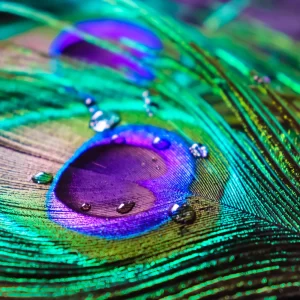 Printing